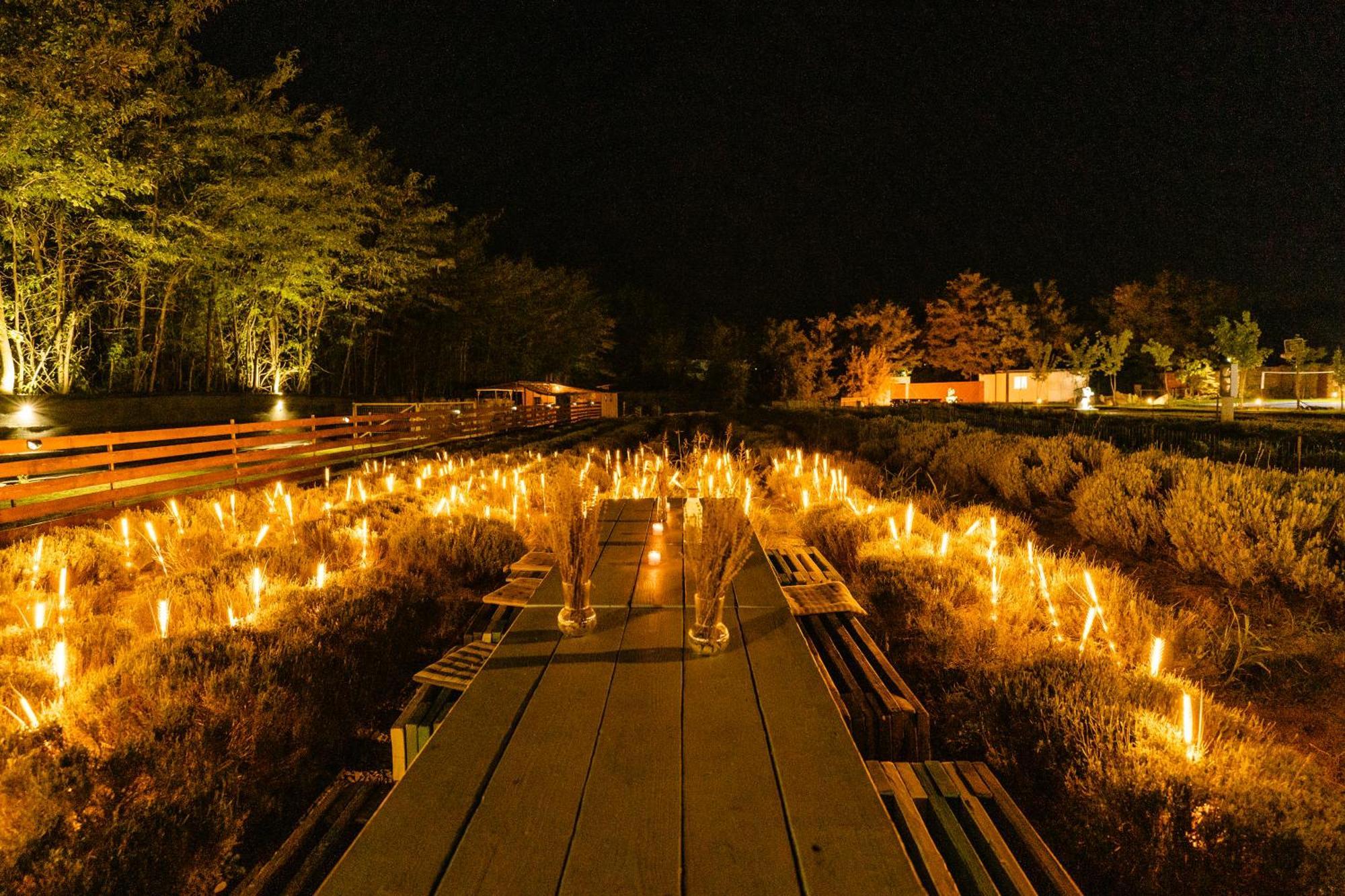 The Tribe Alpaca Retreat Hotel Branesti Exterior photo